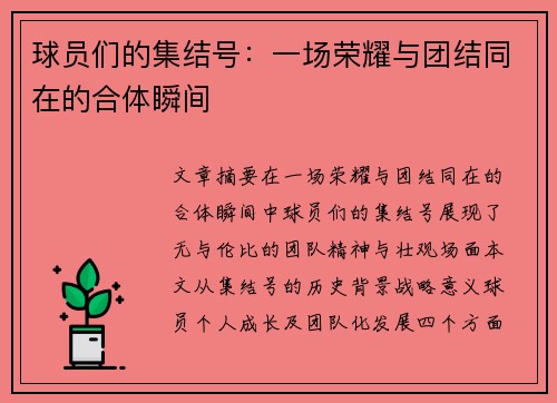 球员们的集结号：一场荣耀与团结同在的合体瞬间